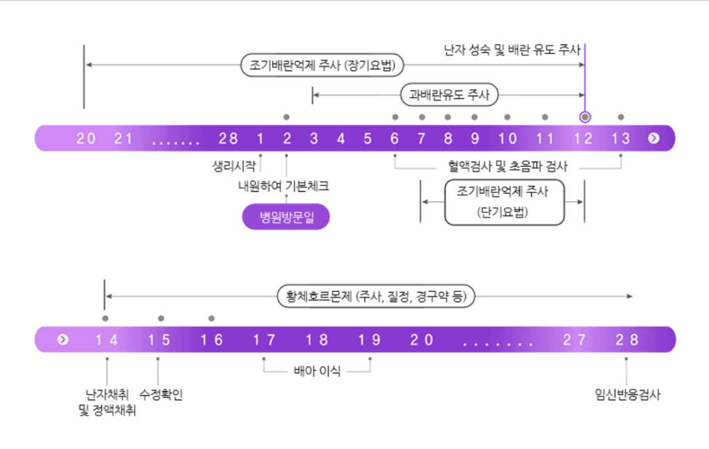 시험관 아기 시술 기간