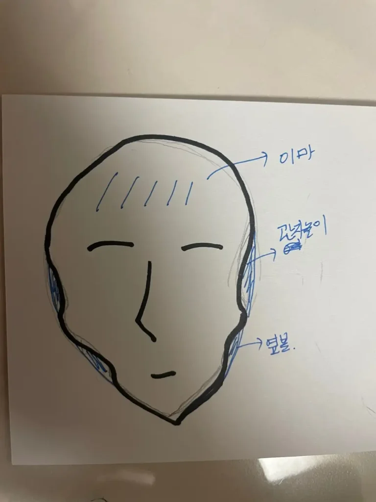 직접 그린 지방이식 전 얼굴형