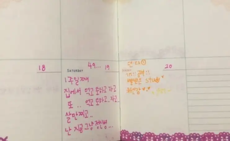 먹토 폭토 씹뱉 식이장애 기록
