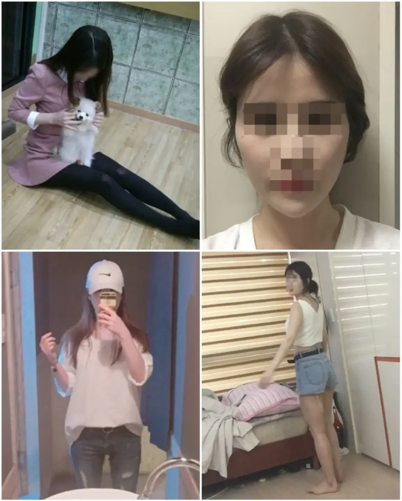 먹토 시절 공부하기