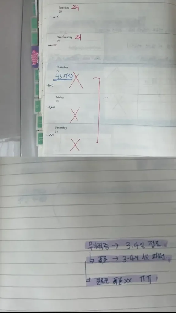 식이장애 기록