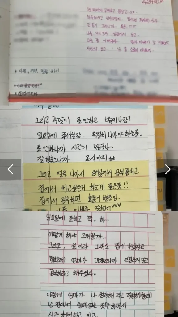 식이장애 기록