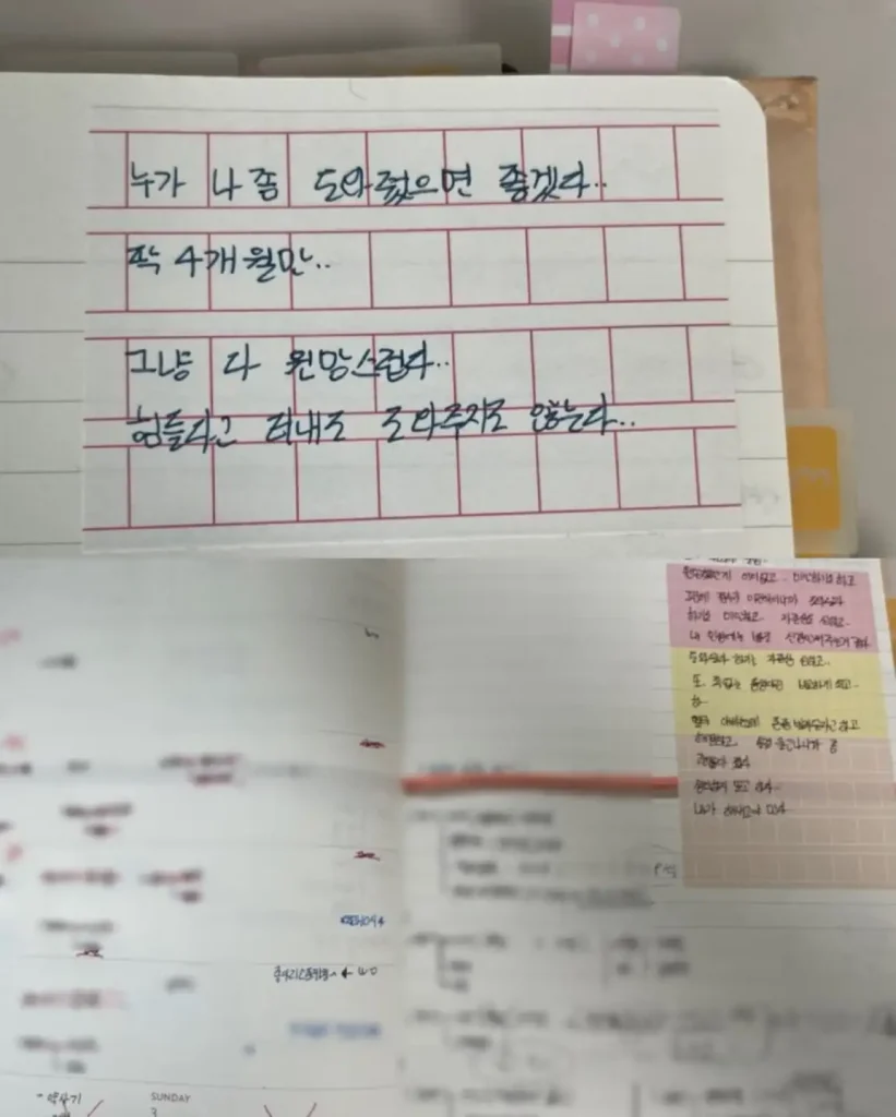 식이장애 기록