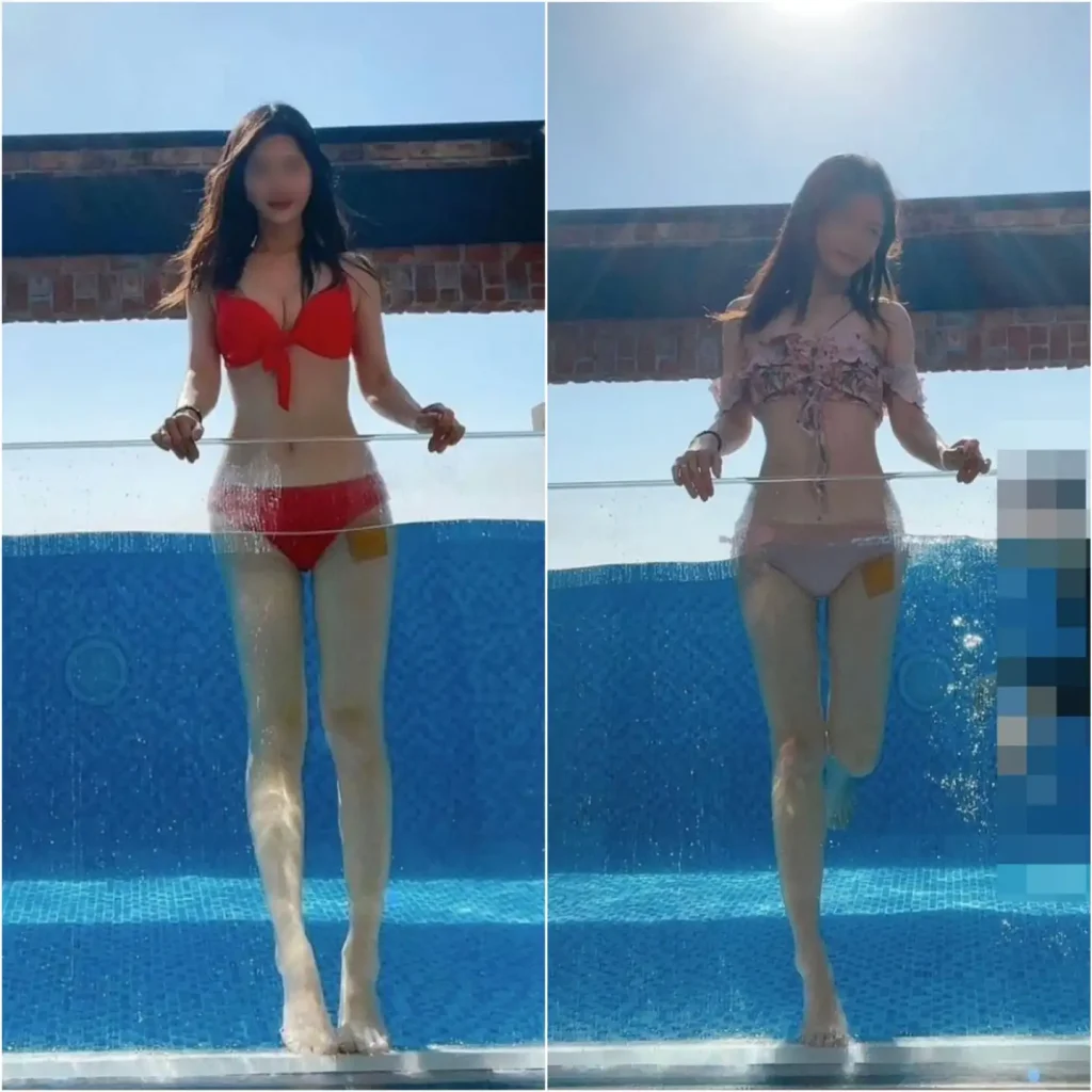 씹뱉 먹토 폭토
